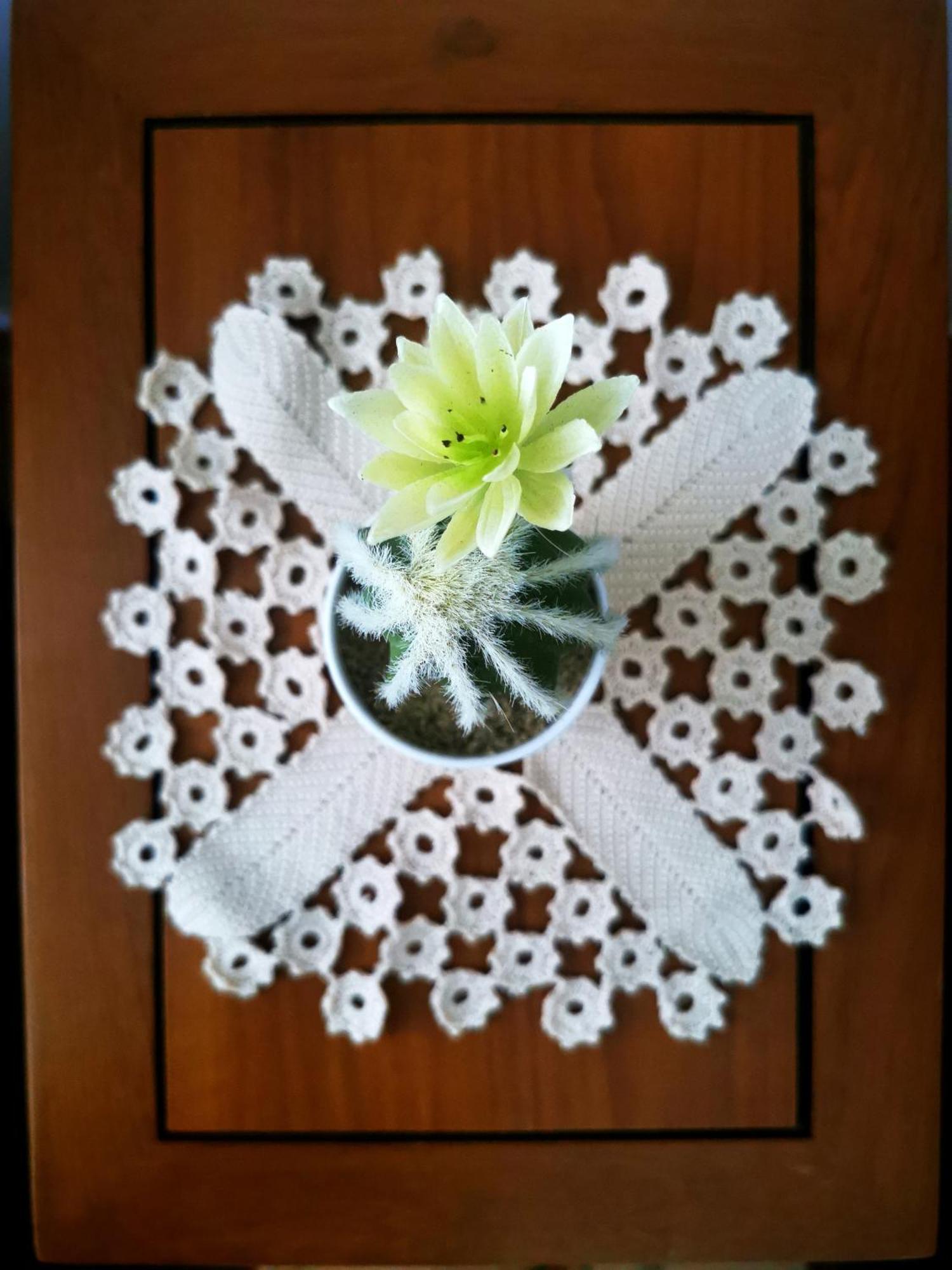 Charming Portuguese Style Apartment, For Rent "Vida A Portuguesa", "Fruta Or Polvo" Alojamento Local Портиман Екстериор снимка